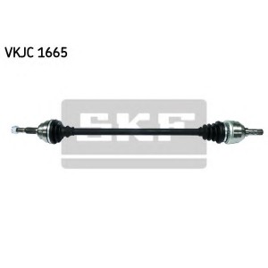   SKF VKJC1665