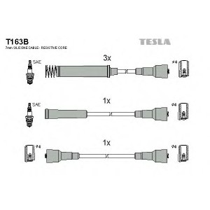    TESLA T163B