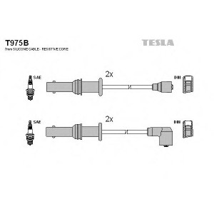    TESLA T975B