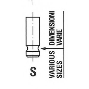  FRECCIA R4894/SNT