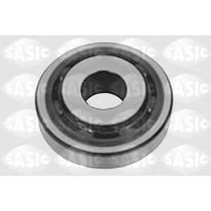 ϳ   SASIC 4005306