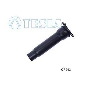    TESLA CP013