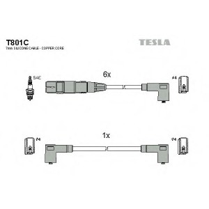    TESLA T801C