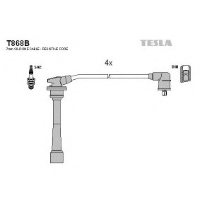    TESLA T868B