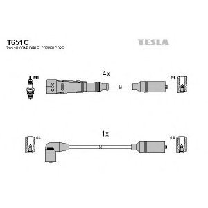    TESLA T651C