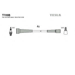    TESLA T709B