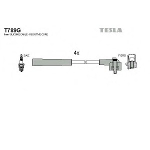    TESLA T789G