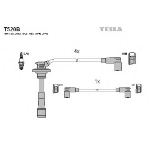    TESLA T520B