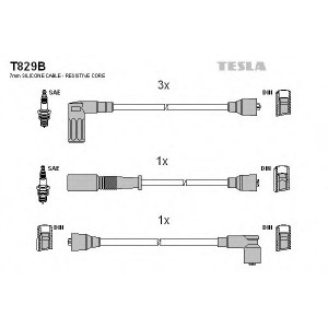    TESLA T829B