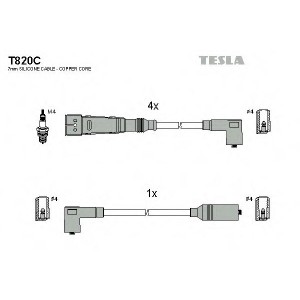    TESLA T820C