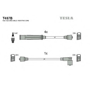    TESLA T487B