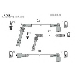    TESLA T870B