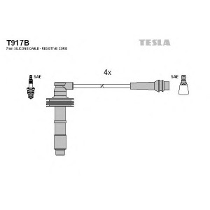    TESLA T917B