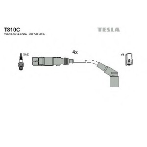    TESLA T810C