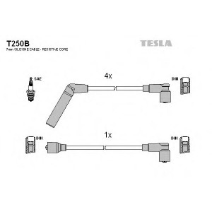    TESLA T250B