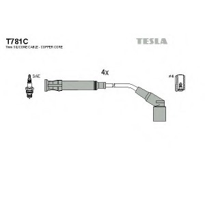    TESLA T781C