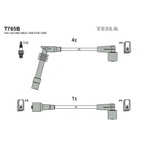    TESLA T765B