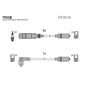    TESLA T065B