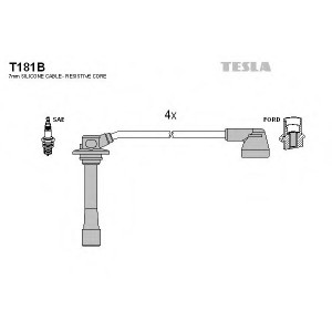    TESLA T181B