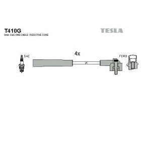    TESLA T410G