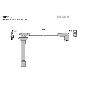    TESLA T895B