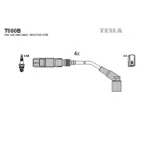    TESLA T080B