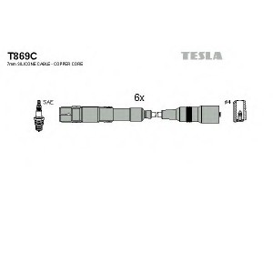    TESLA T869C