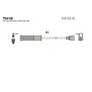    TESLA T841B