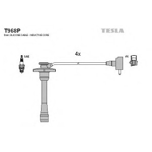    TESLA T968P